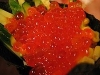 Salmon Roe (Ikura)